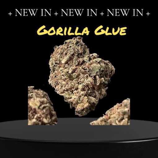 GORILLA GLUE 2 GG 28grams Oz ON SALE 26%THC INDICA 🔥🔥