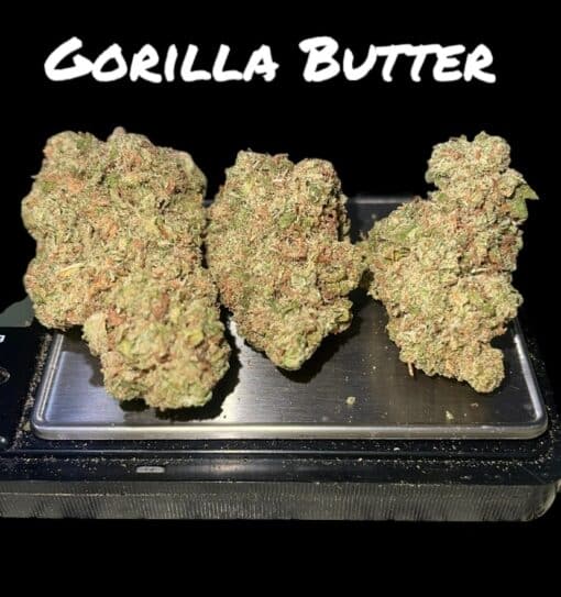GORILLA BUTTER 28grams HYBRiD  28%THC 🔥🦍🔥