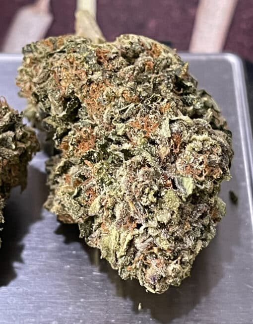 DAY WALKER DIESEL 3.5grams SATIVA 38%THC 🏆🔥🏆🔥 OLD SCHOOL DIESEL STRAIN 🔥 - Image 7