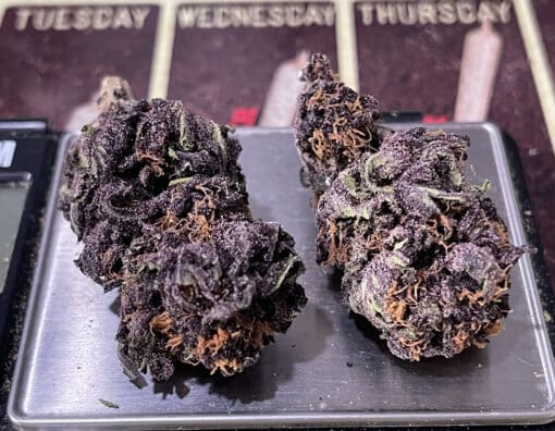 BUCKEYE PURPLE 28grams OZ ON SALE $100 INDICA 27%THC SUMMER SALE - Image 6