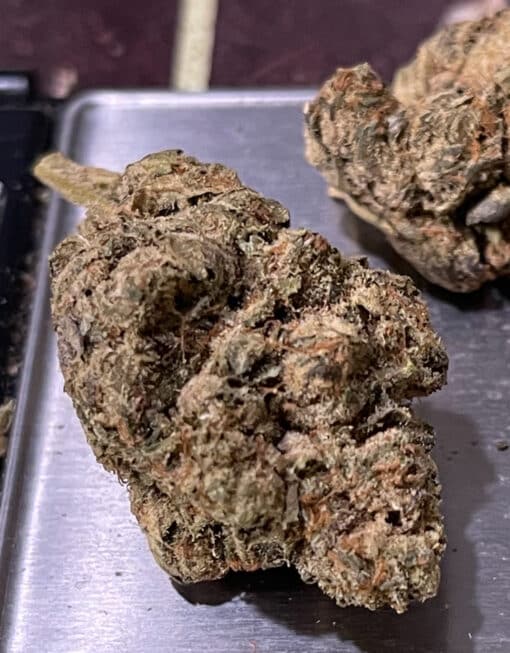 Traffic Jam INDICA New BATCH EXOTICS + 34%THC - Image 5