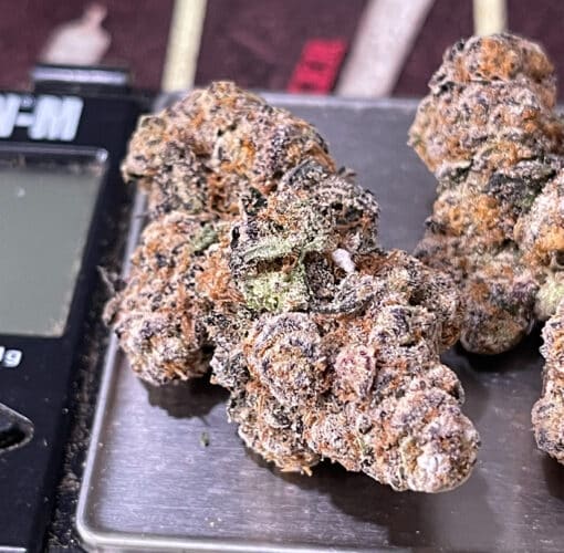 SHERBINSKI AÇAI BERRY GELATO 28g  OZ HYBRID 🔥🎉🔥LIMITED BATCH  34%THC - Image 5
