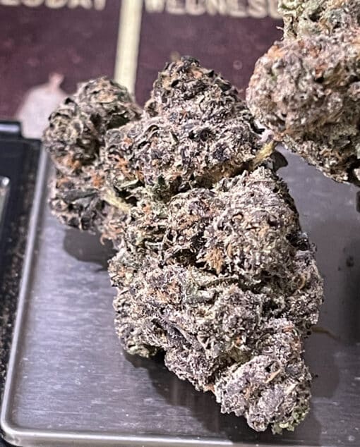 PURPLE ZUSHI RUNTZ 3.5g HYBRID 31%THC 🔥🔥 - Image 7