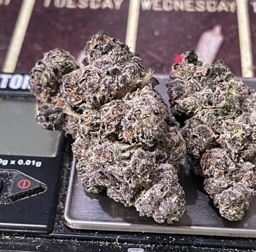 PURPLE ZUSHI RUNTZ 3.5g HYBRID 31%THC 🔥🔥 - Image 4