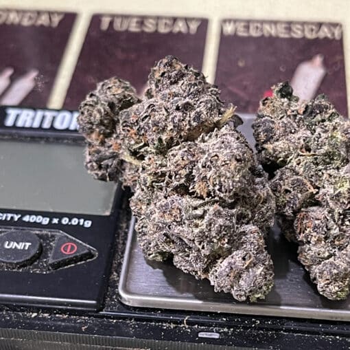 PURPLE ZUSHI RUNTZ 3.5g HYBRID 31%THC 🔥🔥 - Image 3