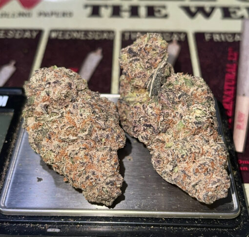 ORANGE SAFARI 3.5g SATIVA 32%THC - Image 4