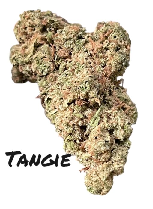TANGIE 28gram OZ ON SALE SATIVA 28%THC 🔥🔥 - Image 4