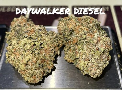 DAY WALKER DIESEL 3.5grams SATIVA 38%THC 🏆🔥🏆🔥 OLD SCHOOL DIESEL STRAIN 🔥