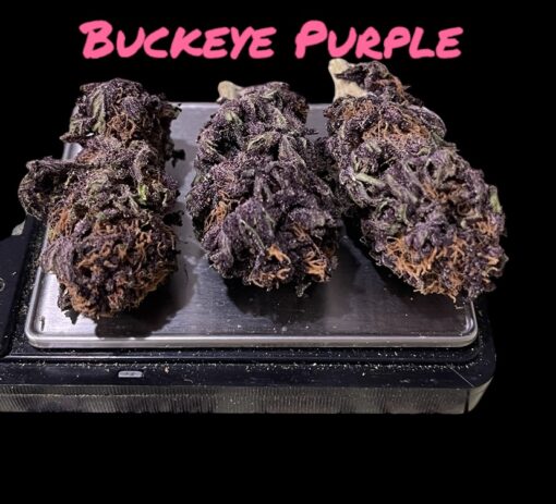 BUCKEYE PURPLE 28grams OZ ON SALE $100 INDICA 27%THC SUMMER SALE - Image 5