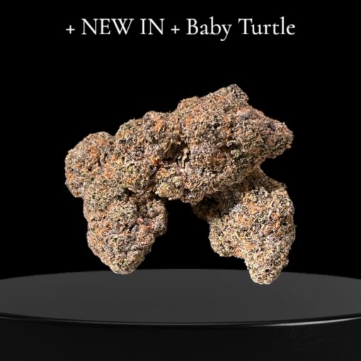 BABY 🐢 TURTLE 3.5g HYBRID 36%THC (kalifa Kush) EXOTICS 🔥🔥🔥 - Image 2
