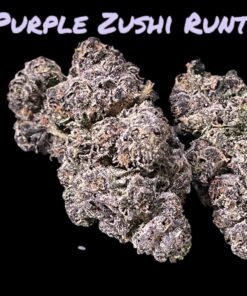 PURPLE ZUSHI RUNTZ 3.5g HYBRID 31%THC 🔥🔥