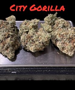 CITY GORILLA GLUE 🦍🦍 28grams OZ  INDICA 33%THC ON SALE 🔥🔥