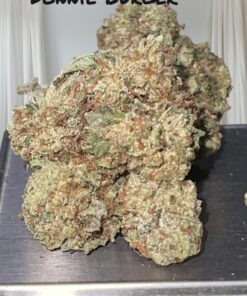DONNIE BURGER 28grams OZ ON SALE 26%THC INDICA 🔥🔥