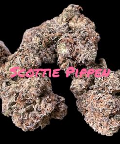 SCOTTIE PIPPEN3.5g HYBRID INDOOR 🔥🔥  31%THC