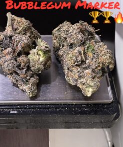 BUBBLEGUM MARKER#2 OZ ON SALE INDICA 36%THC EXOTICS 🏆🏆