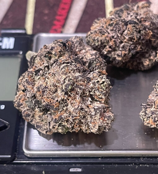 VENOM  RUNTZ 3.5grams  EXOTIC 36%THC INDICA 🏆🔥ZAZA🏆🔥 - Image 5