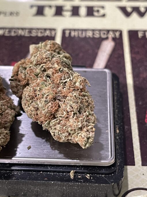 PANAMA HAZE 28GRAMS OZ ON SALE SATIVA 34%THC RARE SATIVA - Image 5