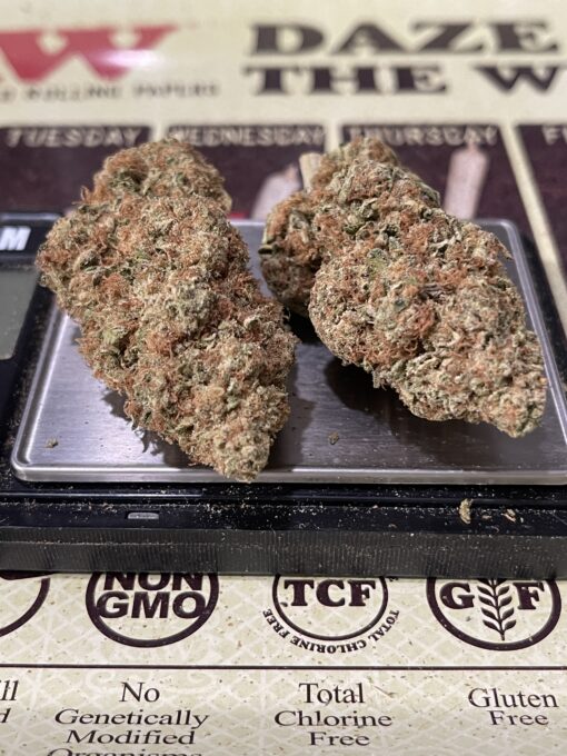 PANAMA HAZE 28GRAMS OZ ON SALE SATIVA 34%THC RARE SATIVA - Image 4