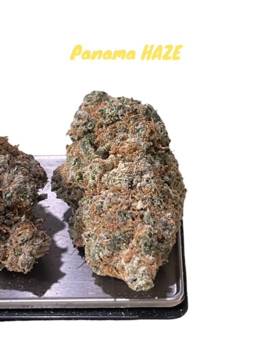 PANAMA HAZE 28GRAMS OZ ON SALE SATIVA 34%THC RARE SATIVA - Image 2