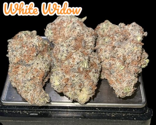 WHITE WIDOW 3.5g SATIVA INDOOR 33%THC MEMORIAL DAY - Image 3