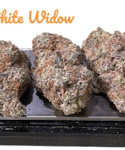WHITE WIDOW 3.5g SATIVA INDOOR 33%THC MEMORIAL DAY