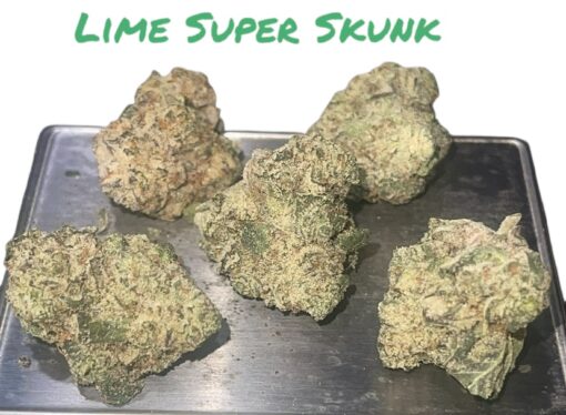 LIME GREEN SKUNK 8GRAM BAGS 🏝️🔥SUMMER SALE 🏝️🔥32%THC  SATIVA EXOTIC SMALL NUGS 🔥🔥 - Image 2