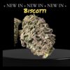 BISCOTTI 7GRAMS QUARTER 28%THC INDICA 🔥🔥ON SALE