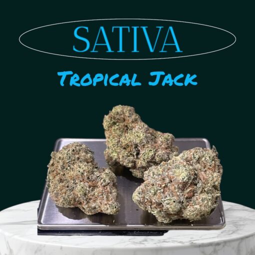 TROPICAL JACK 28grams OZ 37%THC SATIVA LIMITED BATCH 🏝️🔥