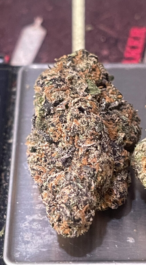 PRIME RUNTZ 3.5grams HYBRID 31%THC 🔥🔥 - Image 6