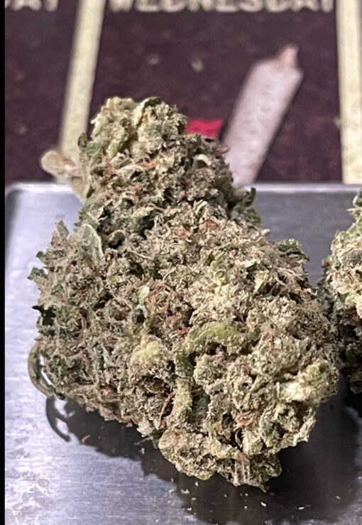JUNGLE GLUE 4GRAMS HYBRID 🏝️🔥SUMMER SALE🏝️🔥30%THC - Image 4