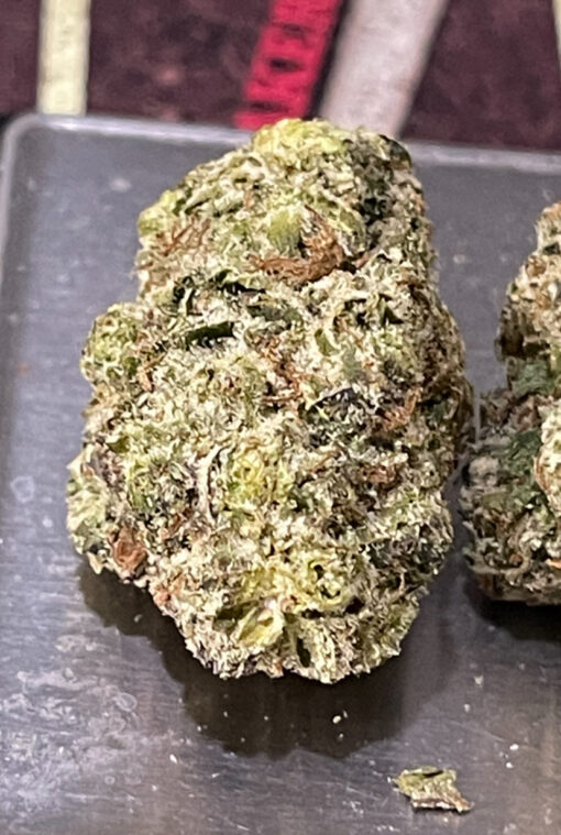 LEMON CHERRY RUNTZ 3.5G HYBRID 31%THC 🏝️🔥LABOR DAY SALE🏝️🔥 - Image 5