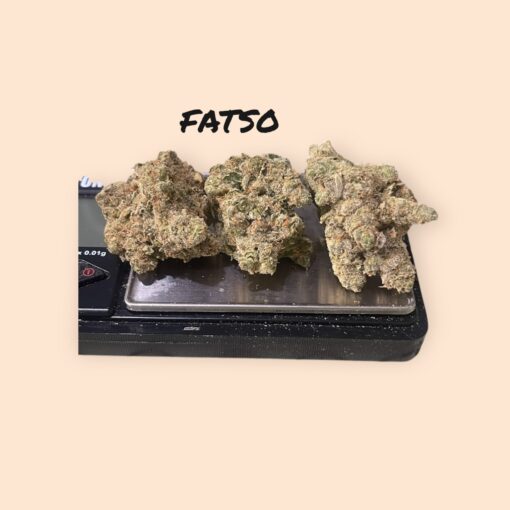 FATSO 3.5G INDICA EXOTICS 36%THC 🏆🏆(AIMS) RARE - Image 3