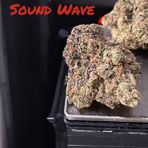 SOUND WAVE 3.5 g 37%THC HYBRID (PERMANENT HOLIDAY) 🔥🔥EXOTICS🔥🔥