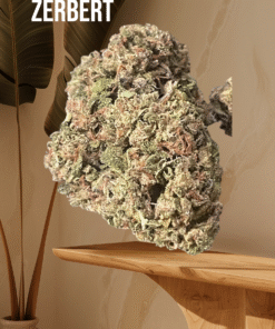 ZERBERT 7GRAMS QUARTER 28%THC INDICA 🔥🔥