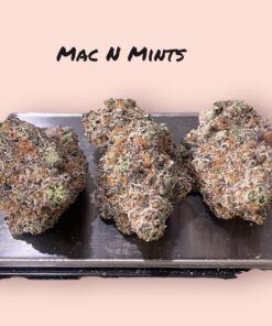 MAC N MINTS 28g EXOTICS 37%THC (BACKPACK BOYS) INDICA 🔥🔥🏆🏆 EXOTIC RARE