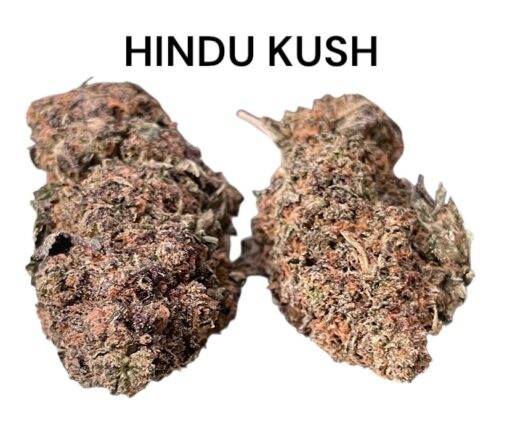 HINDU KUSH 4GRAMS INDICA 🏝️🔥SUMMER SALE🏝️🔥 31%THC - Image 2
