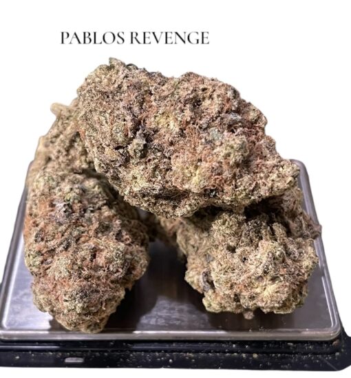 PABLOS REVENGE 4 GRAMS HYBRID 🏝️🔥SUMMER SALE🏝️🔥 30%THC