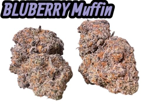 BLUEBERRY MUFIN 4GRAMS INDICA 🏝️🔥SUMMER SALE 🏝️🔥🔥 30%THC