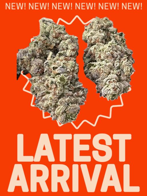 SUGAR CANE 7GRAMS QUARTER  HYBRID 28%THC 🔥🔥 - Image 2