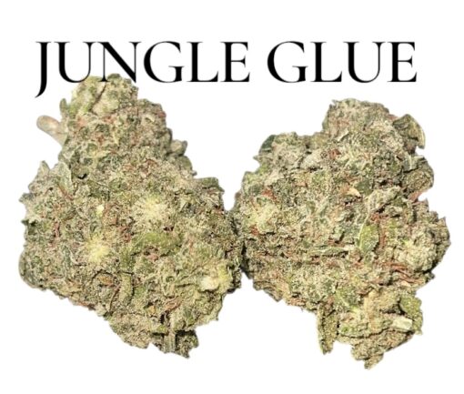 JUNGLE GLUE 4GRAMS HYBRID 🏝️🔥SUMMER SALE🏝️🔥30%THC - Image 2