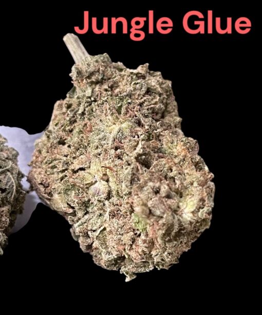 JUNGLE GLUE 4GRAMS HYBRID 🏝️🔥SUMMER SALE🏝️🔥30%THC - Image 3