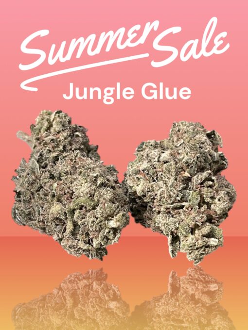 JUNGLE GLUE 4GRAMS HYBRID 🏝️🔥SUMMER SALE🏝️🔥30%THC