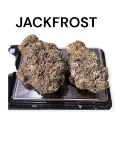 JACK FROST 3.5grams SATIVA 32% THC 🏝️🔥SUMMER SALE🏝️🔥