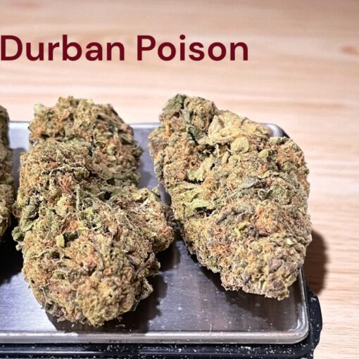 DURBAN POISON 7GRAMS QUARTER 27%THC SATIVA 🏝️🔥LABOR DAY SALE🏝️🔥 - Image 2