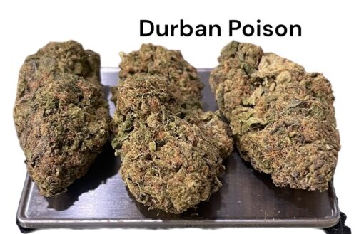 DURBAN POISON 7GRAMS QUARTER 27%THC SATIVA 🏝️🔥LABOR DAY SALE🏝️🔥