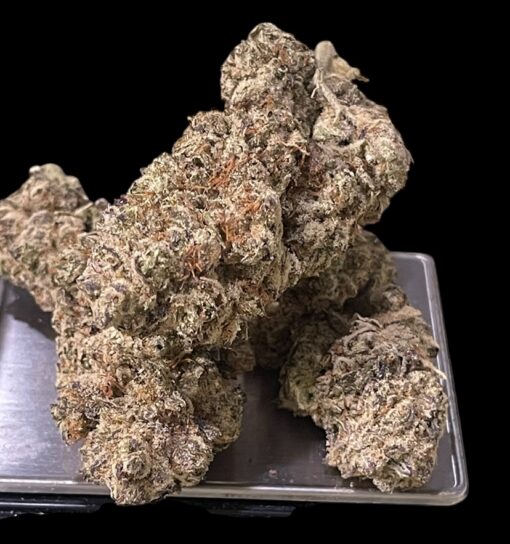 GREAT WHITE SHARK 3.5g SATIVA 30%THC 🔥🔥 - Image 3