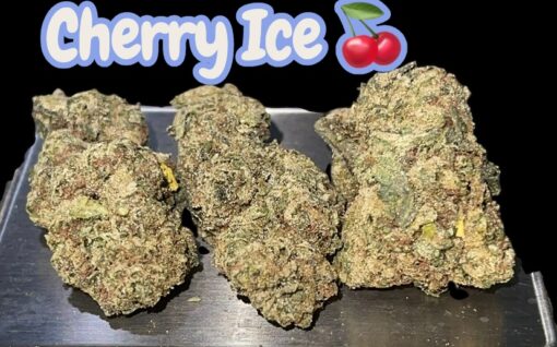 CHERRY ICE 🍒 28grams HYBRID 26%THC HYBRID