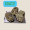TANGIE 28g OZ on SALE SATiVA 🔥🔥 28%THC
