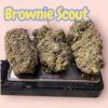 BROWNIE SCOUT 28grams OZ SALE 25%THC INDICA 🔥🔥