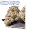 NINO BROWN 3.5grams 35%THC EXOTICS 🎉BLACK FRIDAY SALE🎉